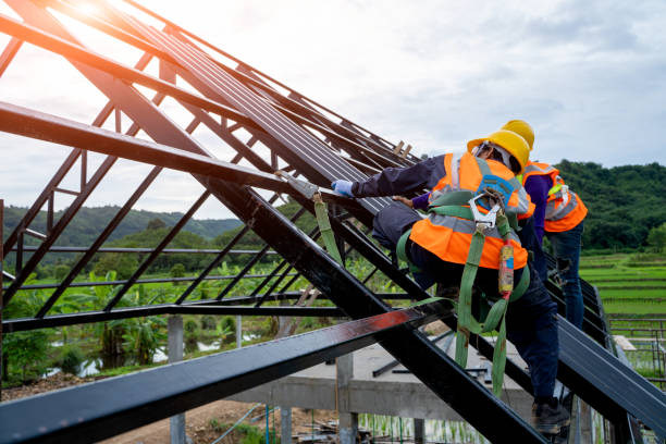 Best Storm Damage Roof Repair  in Sanborn, IA