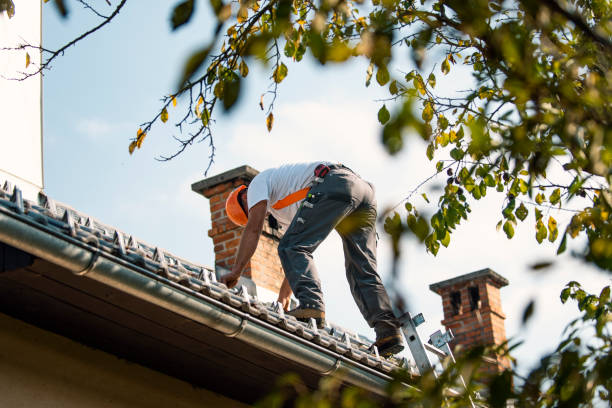 Best Shingle Roofing Installation  in Sanborn, IA